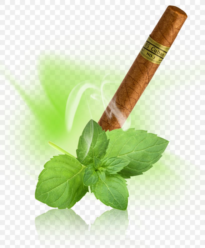 Electronic Cigarette Tobacco Aroma Herb, PNG, 904x1094px, Cigar, Alternative Health Services, Aroma, Electronic Cigarette, Flavor Download Free
