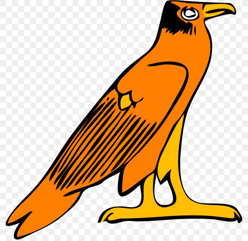 Falcon Clip Art, PNG, 800x800px, Falcon, Animal Figure, Artwork, Beak, Bird Download Free