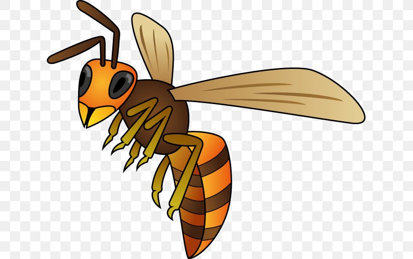 Honey Bee True Wasps Insect Clip Art, PNG, 633x515px, Honey Bee, Arthropod, Asian Giant Hornet, Bee, Fly Download Free