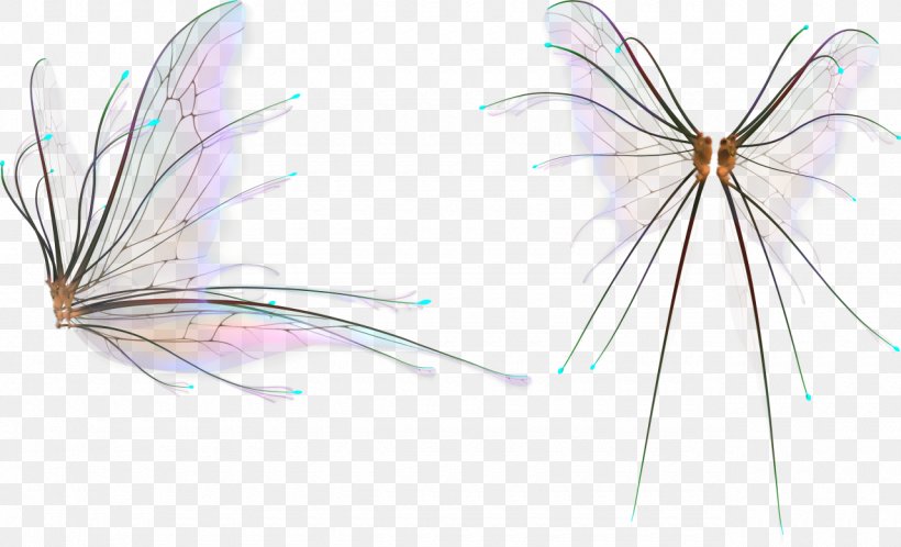 Insect PhotoScape Adobe Photoshop Graphics Image, PNG, 1280x778px, Insect, Blog, Gimp, Invertebrate, Organism Download Free