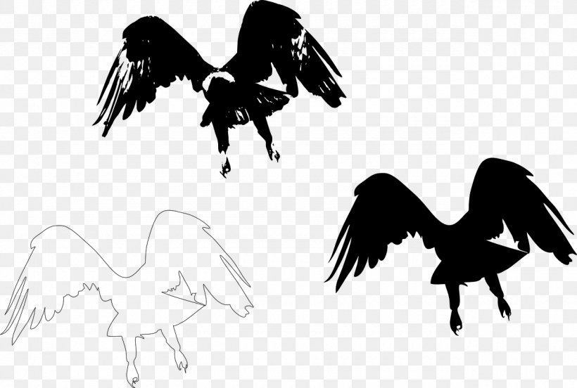 Silhouette Bird Wing Feather, PNG, 1280x862px, Silhouette, Beak, Bird, Bird Of Prey, Black Download Free