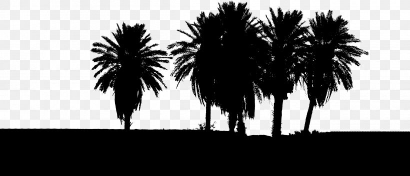 Tree Arecaceae Clip Art, PNG, 2400x1034px, Tree, Arecaceae, Arecales, Baobab, Black And White Download Free