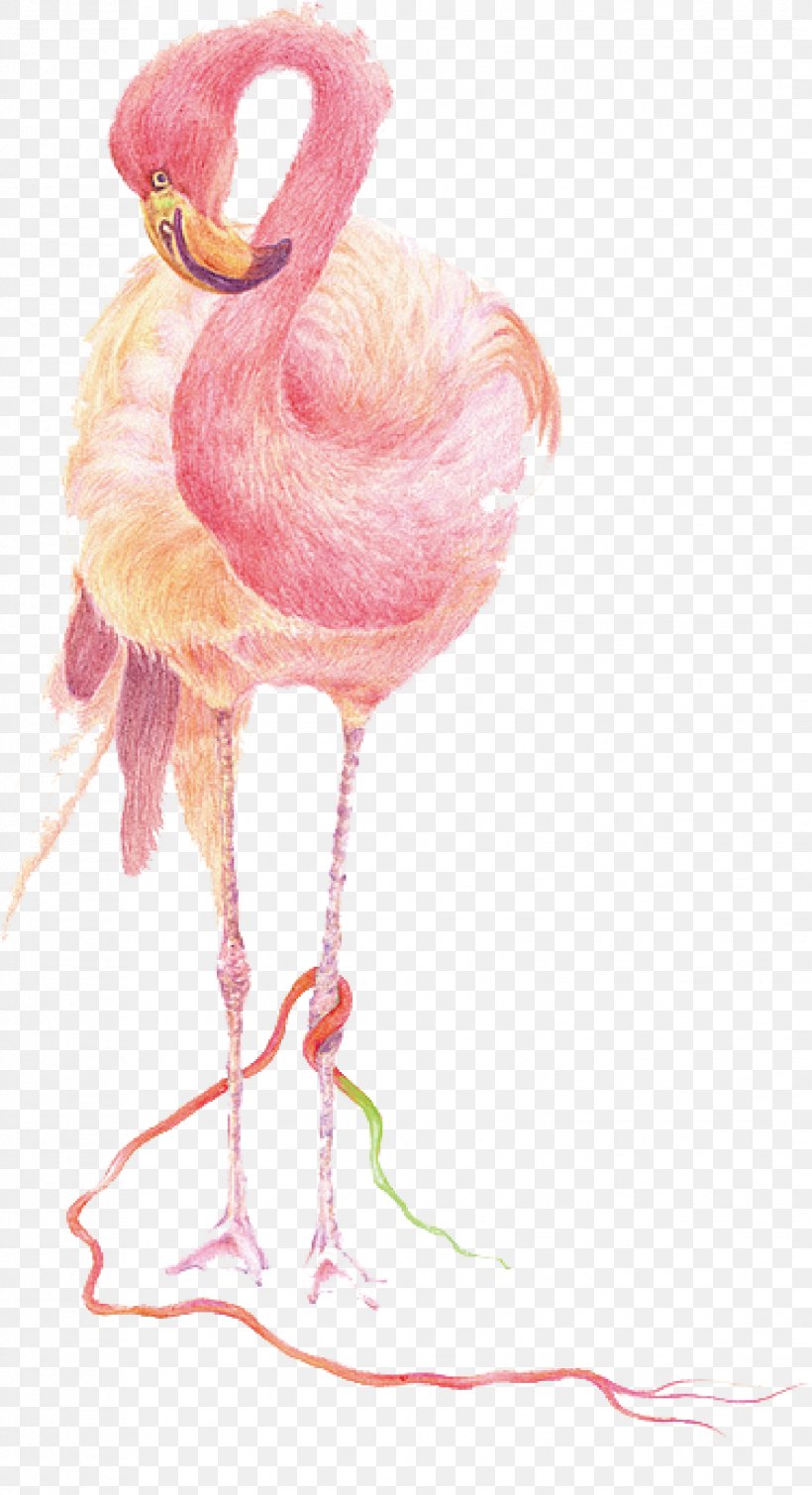 Flamingos Bird IPhone 7 IPad IPhone 8, PNG, 1652x3042px, Flamingos, Apple, Beak, Bird, Flamingo Download Free