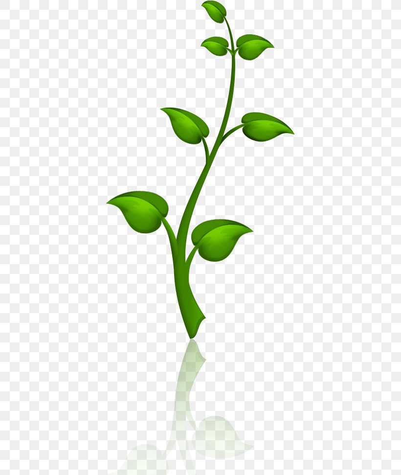 Image Design Vector Graphics, PNG, 388x971px, Leaf, Branch, Drawing, Flora, Flower Download Free