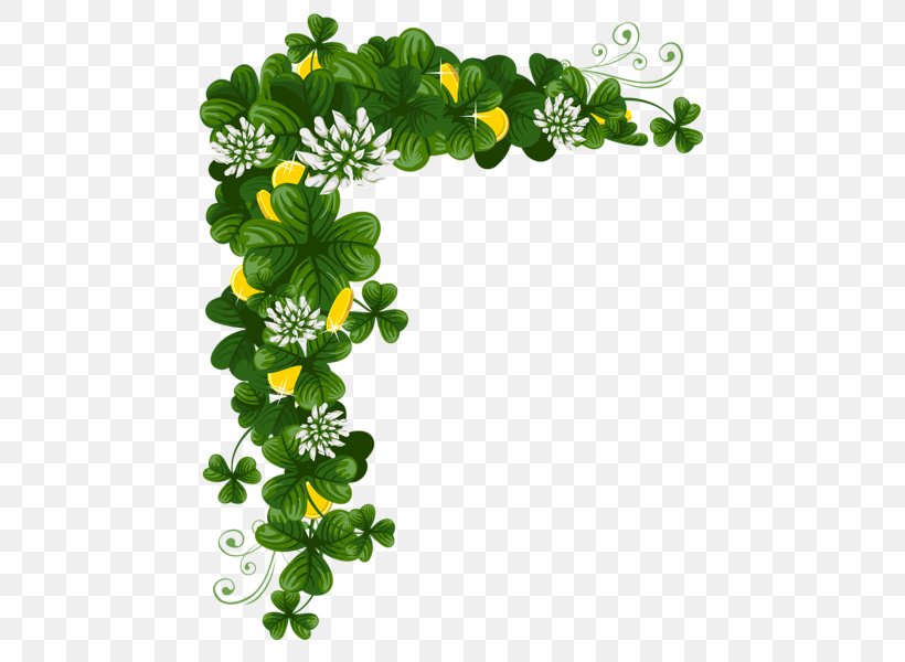 Saint Patrick's Day St. Patrick's Day Shamrocks 17 March Clip Art, PNG, 497x600px, 17 March, Shamrock, Branch, Flower, Flowering Plant Download Free