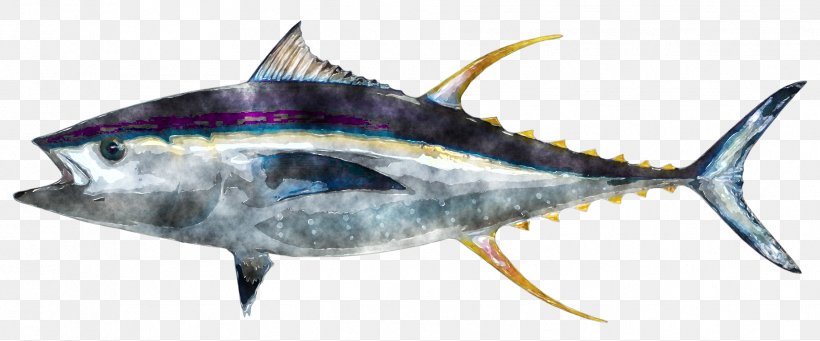 Yellowfin Tuna Food Fishing Clip Art, PNG, 1813x755px, Yellowfin Tuna, Albacore, Atlantic Blue Marlin, Atlantic Bluefin Tuna, Billfish Download Free