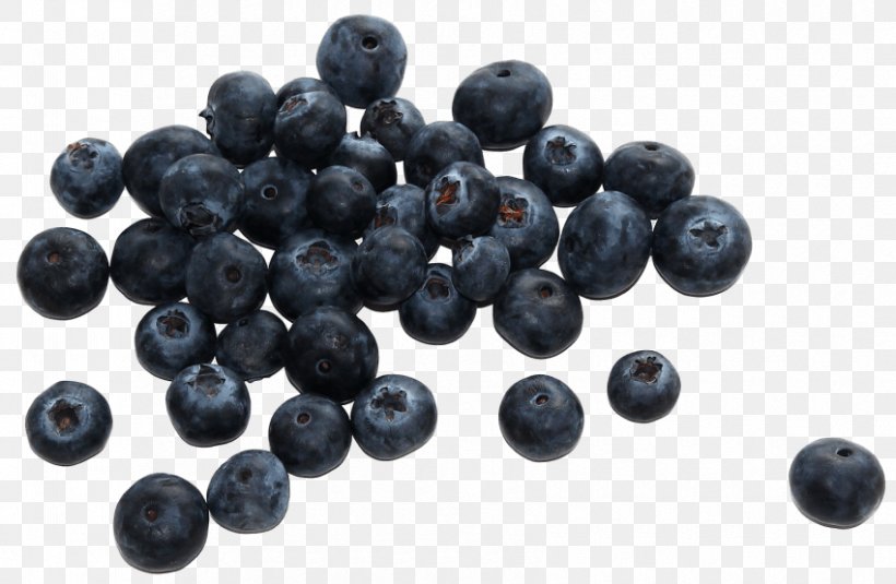 Blueberry Clip Art, PNG, 850x555px, Berry, Bead, Bilberry, Blueberry, Cranberry Download Free
