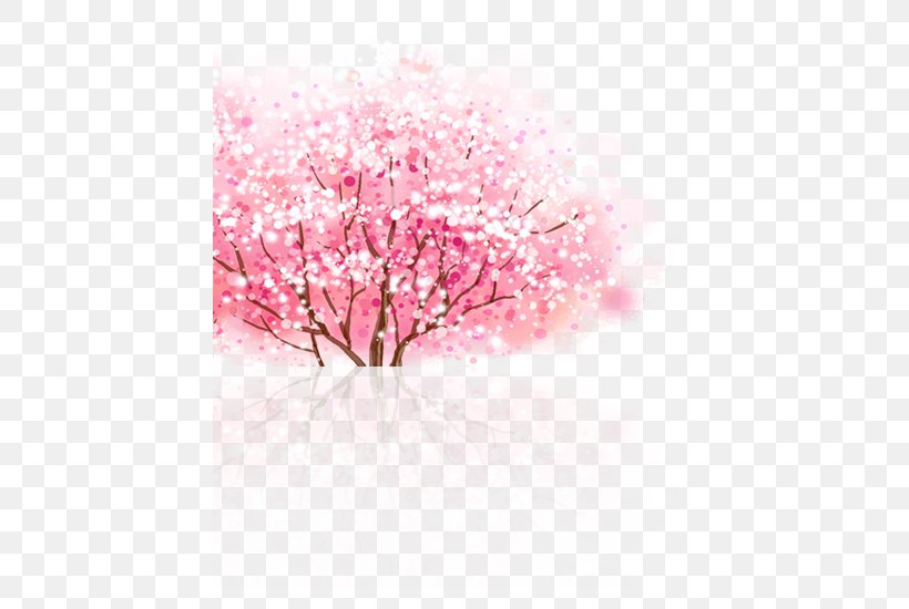 Cherry Blossom Cerasus, PNG, 500x550px, Cherry Blossom, Blossom, Branch, Cerasus, Cherry Download Free
