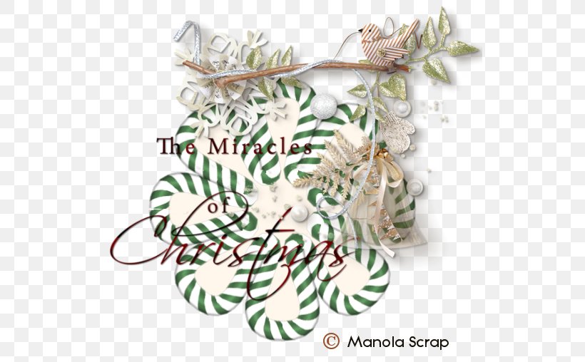 Christmas Ornament Pine Branching Family, PNG, 532x508px, Christmas Ornament, Branch, Branching, Christmas, Family Download Free