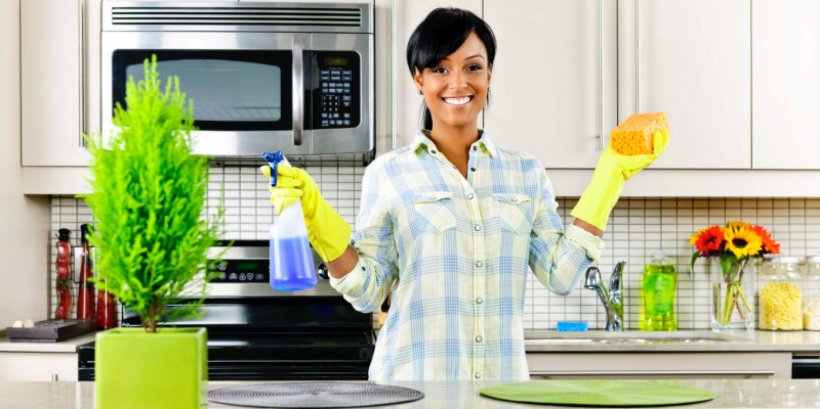 Cleaner Maid Service Cleaning Housekeeping, PNG, 1740x869px, Cleaner, Cleaning, Cook, Cuisine, Domestic Worker Download Free