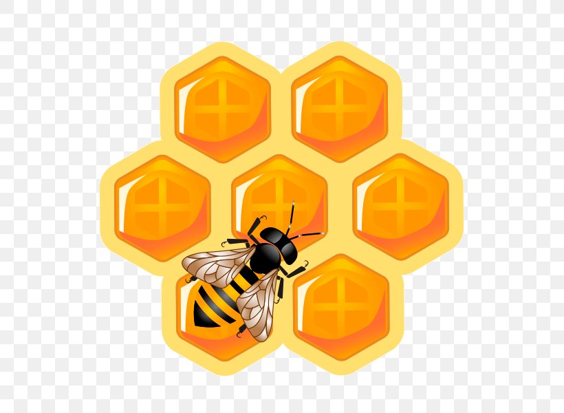 Honey Bee Honeycomb Maya Beehive, PNG, 600x600px, Honey Bee, Bee, Beehive, Honey, Honeycomb Download Free