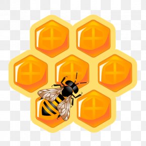 Honey Bee Honeycomb, PNG, 2888x2675px, Honey Bee, Bee, Cartoon, Food ...