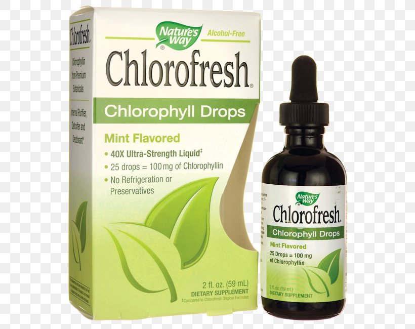 Nature Chlorophyll Mint Plants Herbalism, PNG, 650x650px, Nature, Chlorophyll, Drop, Flavor, Herb Download Free