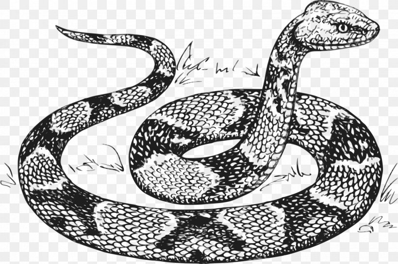 Snake Python Drawing Clip Art, PNG, 2400x1598px, Snake, Art, Black And White, Boa Constrictor, Boas Download Free