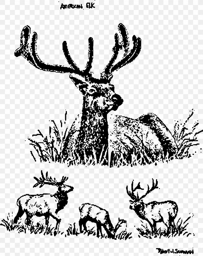 Elk Reindeer United States Clip Art, PNG, 1832x2309px, Elk, Antler, Art, Black And White, Branch Download Free