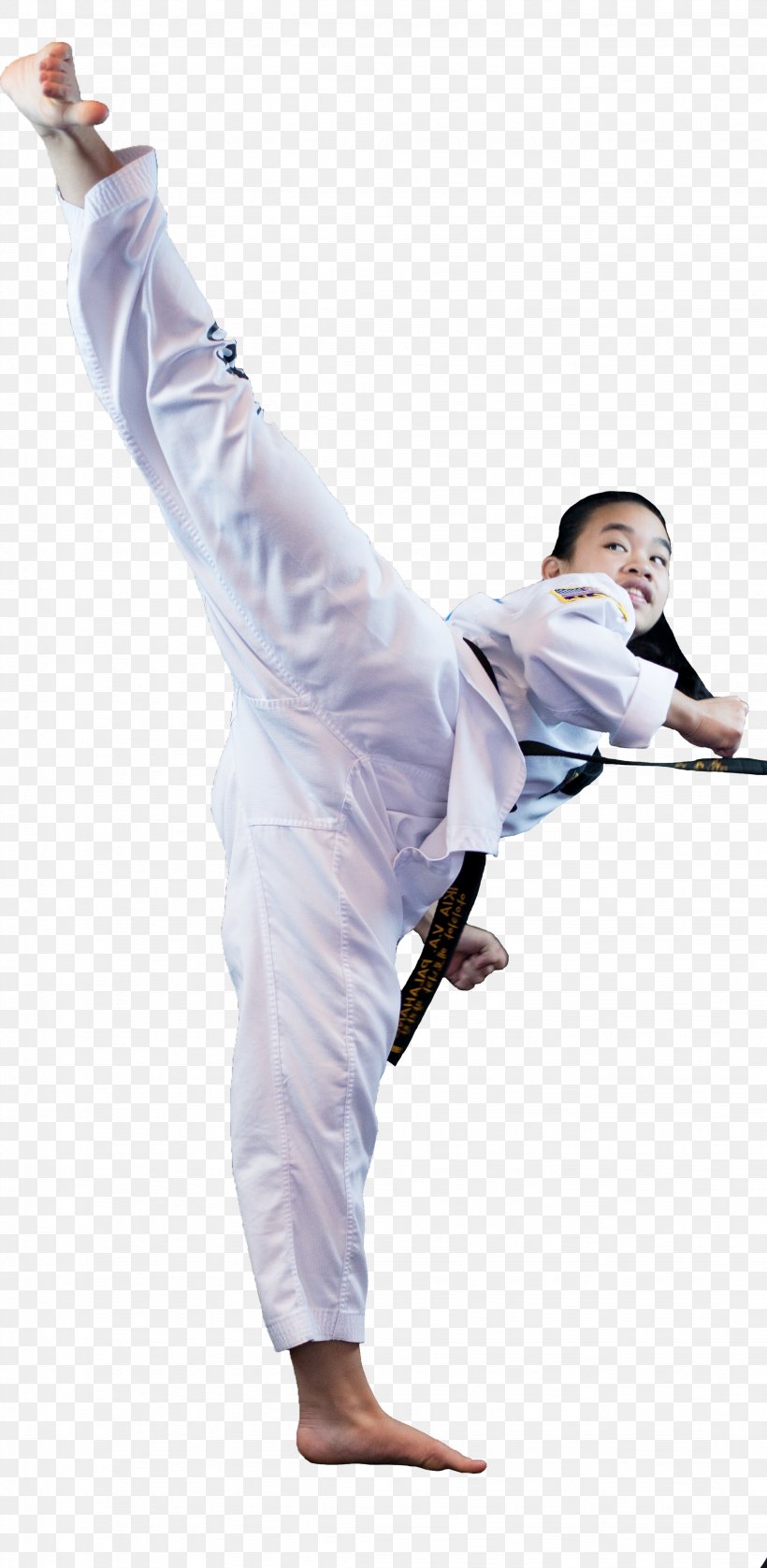 Korea Tae Kwon Do (Martial Arts Taekwondo Dobok Karate, PNG, 2047x4188px, Korea, Arm, Baguazhang, Dobok, Joint Download Free