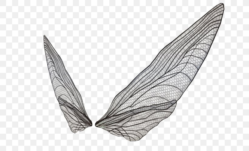 Butterfly Transparency And Translucency Clip Art, PNG, 699x497px, 3d Computer Graphics, Butterfly, Black And White, Drawing, Invertebrate Download Free