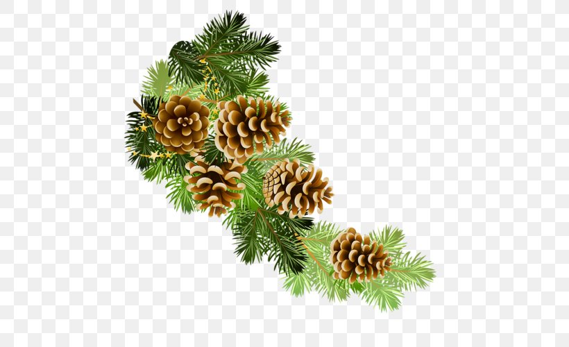 Conifer Cone Clip Art Christmas Clip Art, PNG, 500x500px, Conifer Cone, Christmas, Christmas Decoration, Christmas Ornament, Christmas Tree Download Free