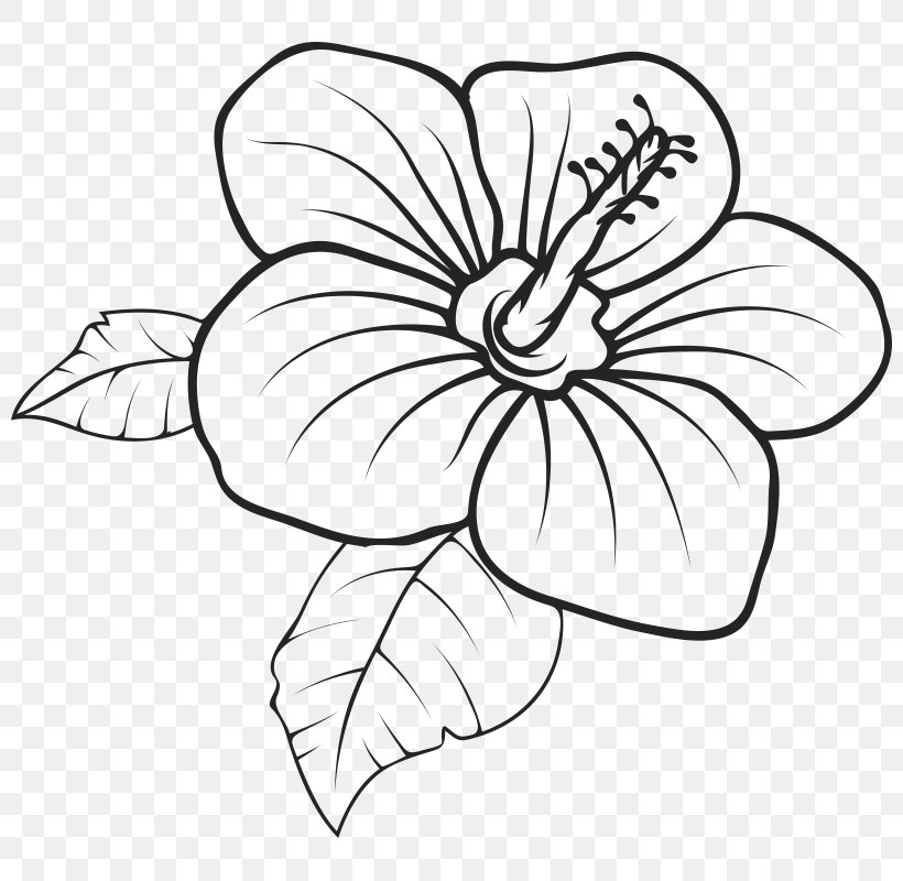 Floral Design Hawaii Drawing Clip Art Vector Graphics, PNG, 800x800px, Floral Design, Artwork, Black And White, Cut Flowers, Depositphotos Download Free