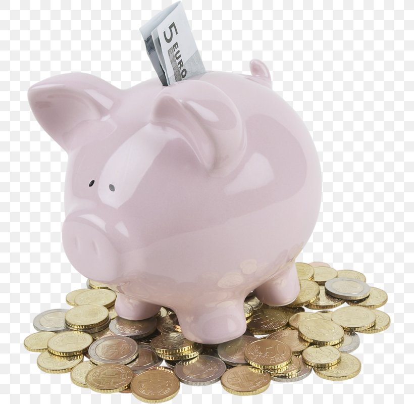 Piggy Bank Saving Money Investment, PNG, 732x800px, Piggy Bank, Bank, Coin, Finance, Income Download Free