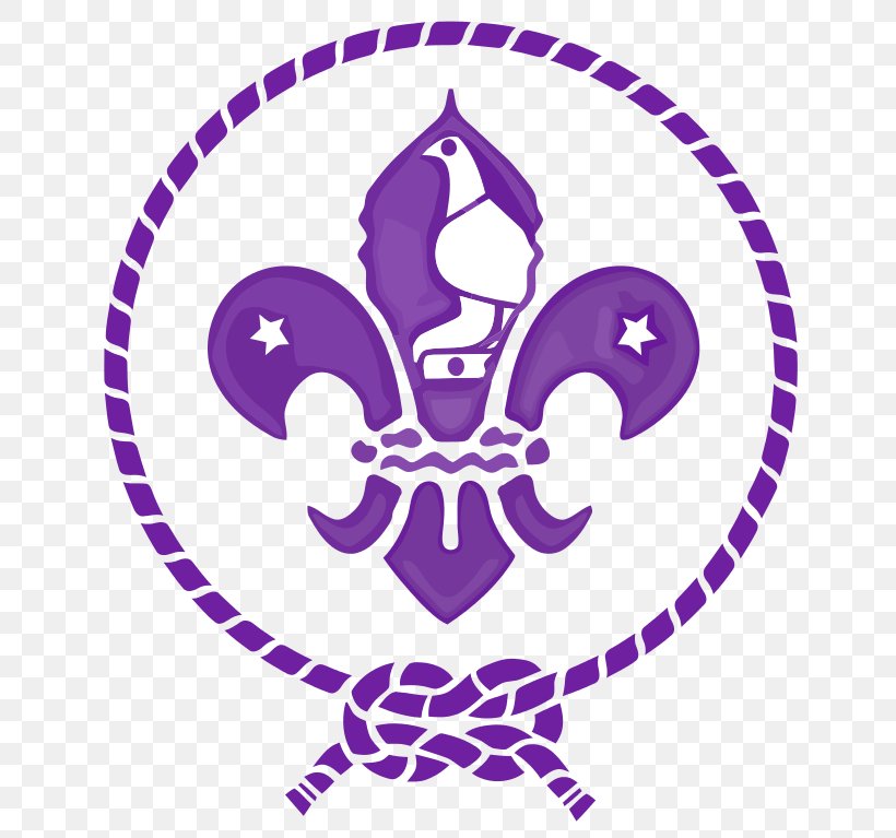 Scouting World Organization Of The Scout Movement Scout Group World Scout Emblem Scouts South Africa, PNG, 660x767px, Scouting, Area, Artwork, Association Of Scouts Of Azerbaijan, Beslidhja Skaut Albania Download Free