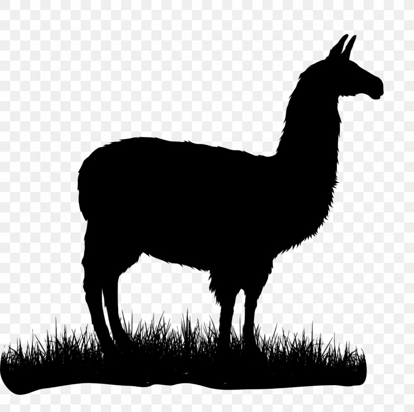Alpaca T-shirt Llama Camel Silhouette, PNG, 1500x1491px, Alpaca, Camel, Camelid, Clothing, Drawing Download Free