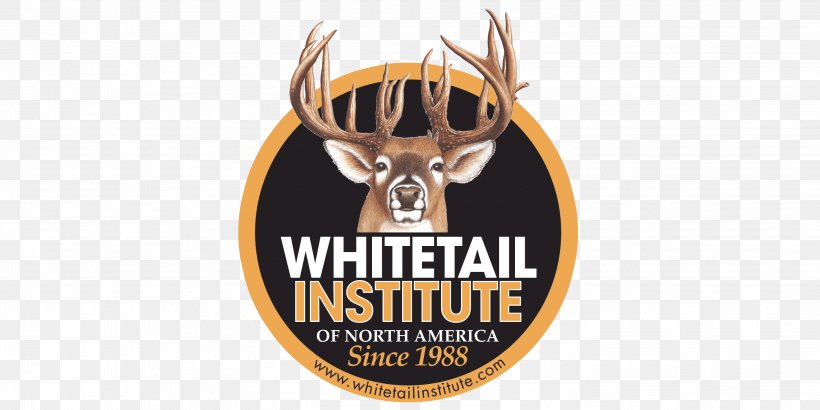 Logo Deer Brand Whitetail Institute Font, PNG, 2839x1420px, Logo, Antler, Brand, Deer, Label Download Free