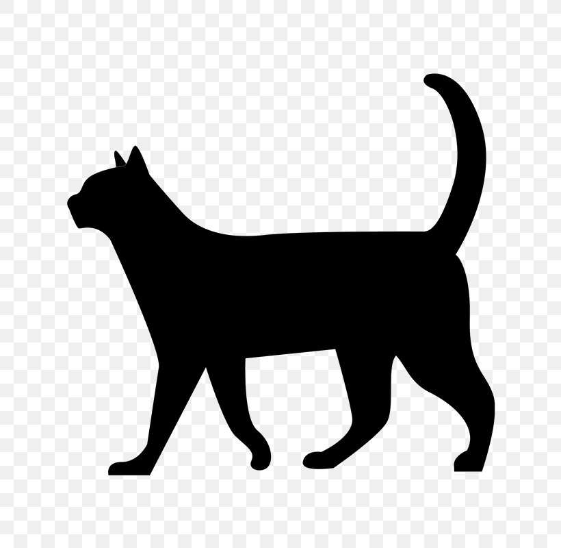 Cat Kitten Silhouette Clip Art, PNG, 800x800px, Cat, Animal Rescue Group, Black, Black And White, Black Cat Download Free