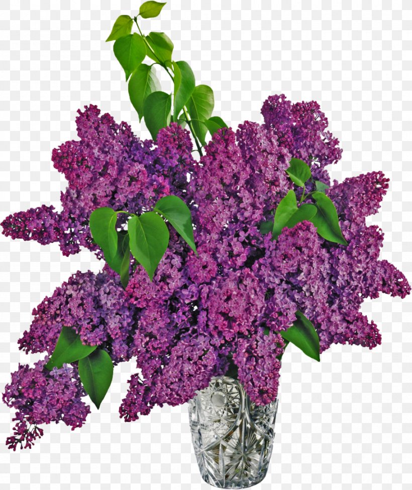 Common Lilac Vase Clip Art, PNG, 910x1080px, Common Lilac, Color, Cut Flowers, Floral Design, Flower Download Free