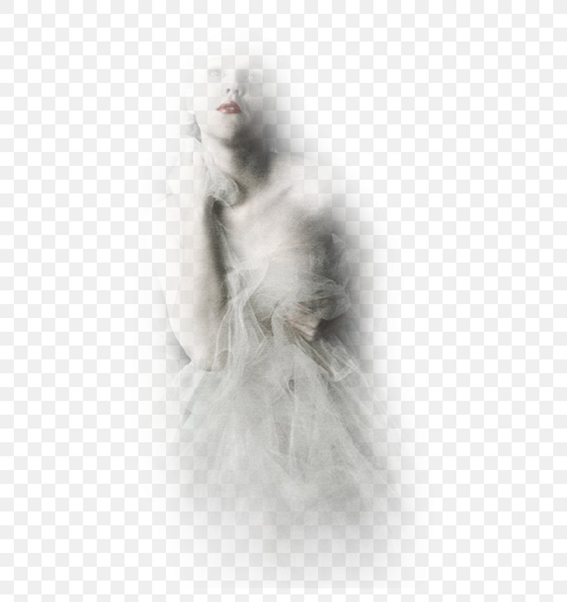 Fur White, PNG, 500x871px, Fur, Black And White, Feather, Stock Photography, White Download Free