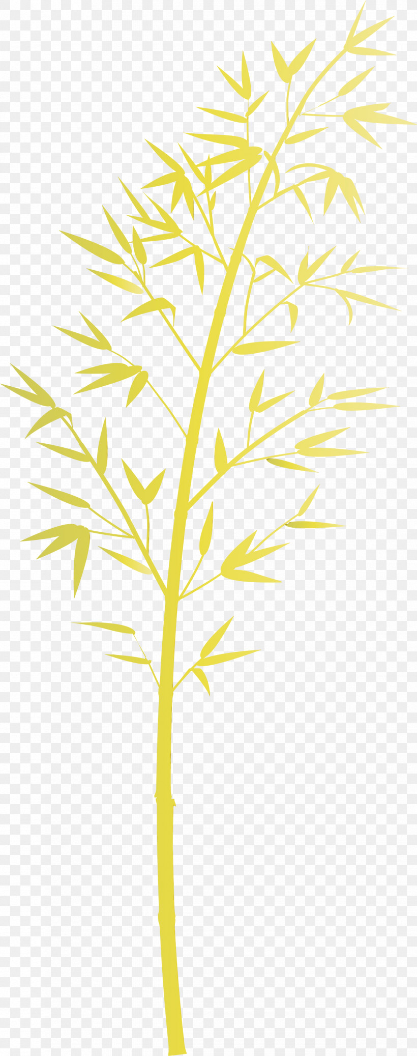 Leaf Plant Yellow Plant Stem Tree, PNG, 1185x3000px, Bamboo, Branch, Flower, Leaf, Paint Download Free