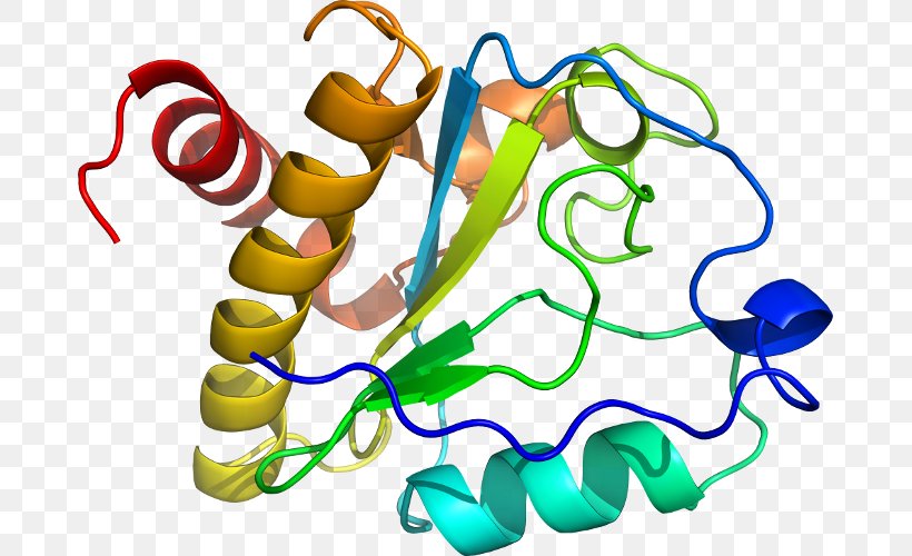 Alpha Helix Beta Sheet Line Clip Art, PNG, 679x500px, Alpha Helix, Area, Artwork, Beta Sheet, Helix Download Free