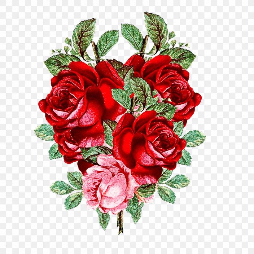 Garden Roses, PNG, 900x900px, Flower, Bouquet, Cut Flowers, Floribunda, Garden Roses Download Free