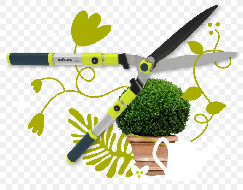 Hedge Trimmer Garden Tool Product Industrial Design Text, PNG, 800x641px, Hedge Trimmer, Garden Tool, Grass, Hedge, Industrial Design Download Free