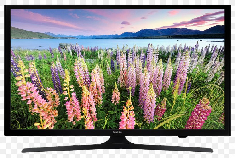 1080p LED-backlit LCD Samsung High-definition Television 4K Resolution, PNG, 1060x716px, 4k Resolution, Ledbacklit Lcd, Computer Monitor, Display Device, Flora Download Free