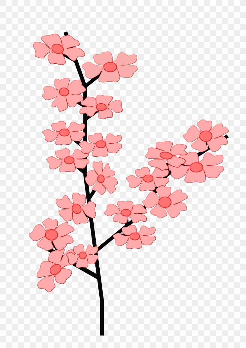 Cherry Blossom Tree Drawing, PNG, 1697x2400px, Watercolor, Blossom, Botany, Branch, Cherries Download Free