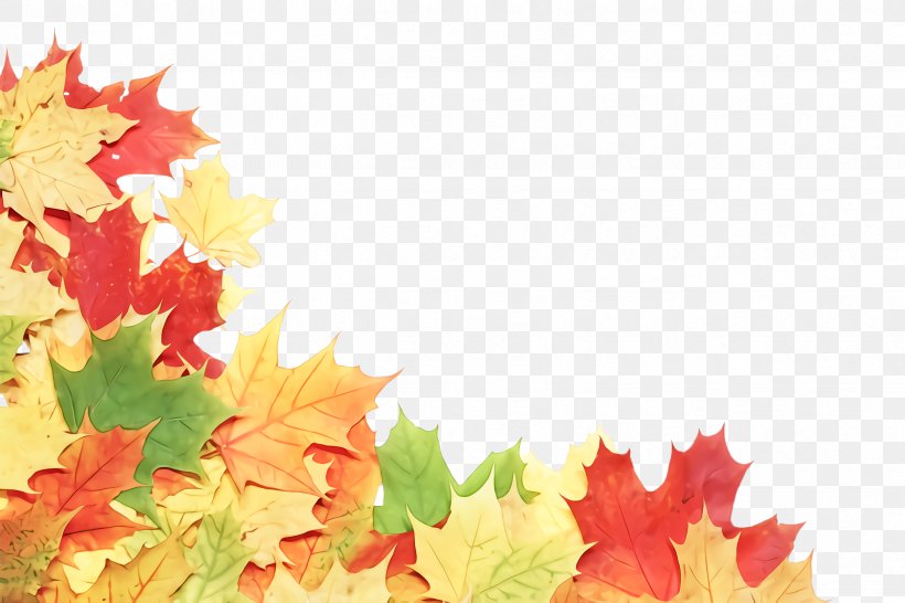 Maple Leaf, PNG, 2448x1632px, Leaf, Autumn, Black Maple, Deciduous, Maple Download Free