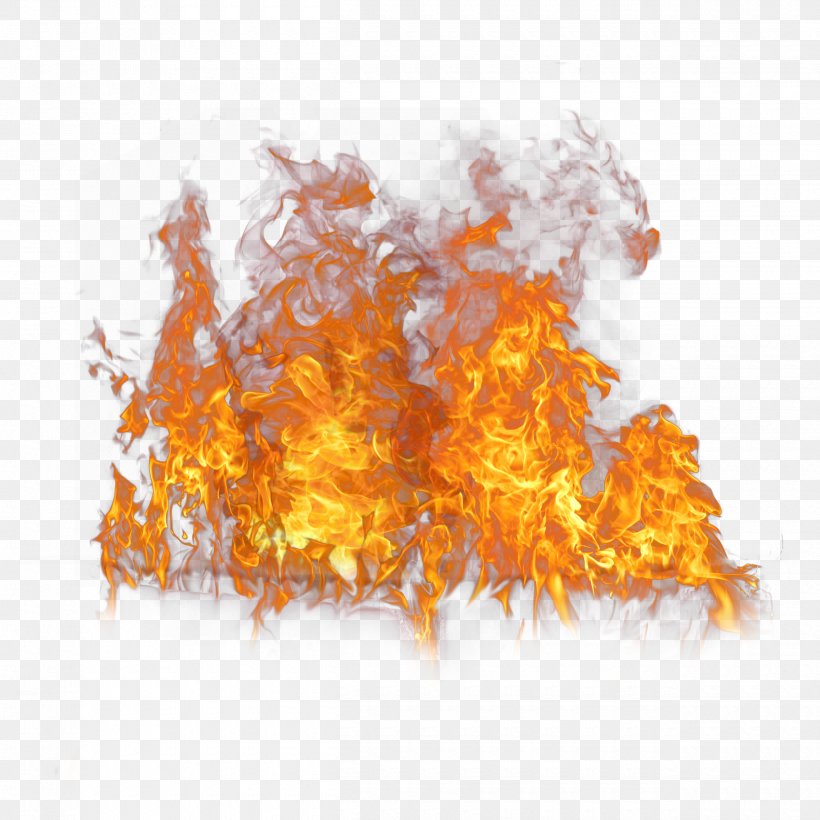 Flame Icon, PNG, 2500x2500px, Flame, Dots Per Inch, Idea, Orange, Raster Graphics Download Free