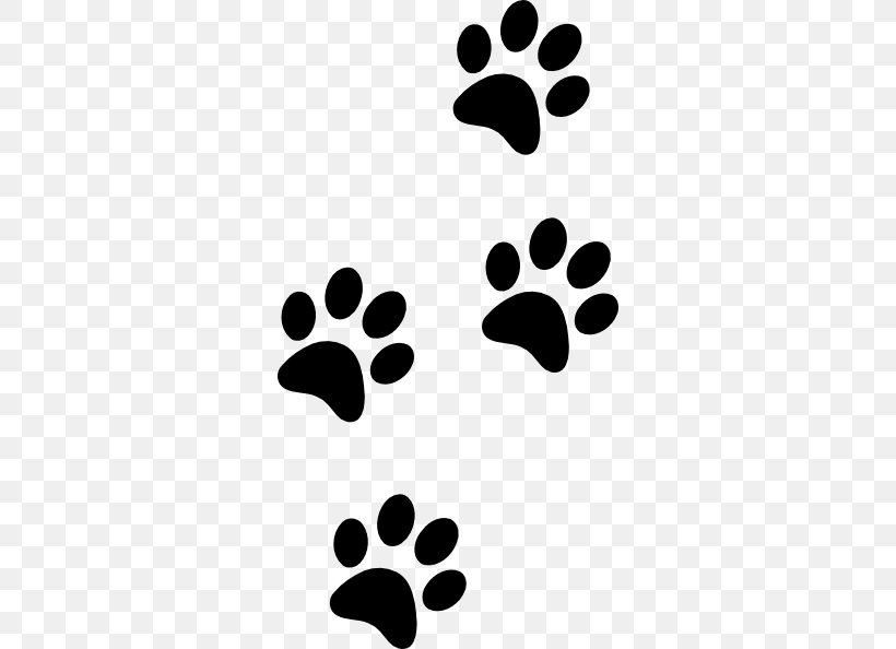 Labrador Retriever Cat Paw Clip Art, PNG, 312x594px, Labrador Retriever, Animal Track, Black, Black And White, Cat Download Free