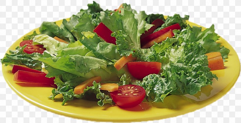 Tuna Salad Egg Salad Fruit Salad Spinach Salad, PNG, 850x435px, Tuna Salad, Caesar Salad, Diet Food, Dish, Egg Salad Download Free