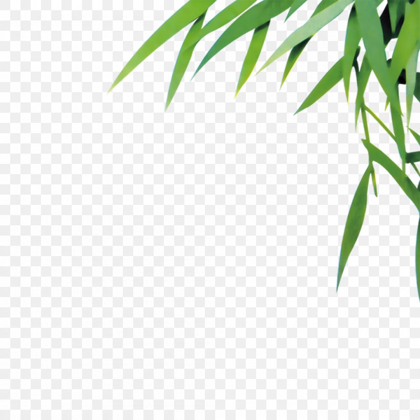 Bamboo Leaf Euclidean Vector, PNG, 1000x1000px, Bamboo, Bamboe, Branch, Grass, Green Download Free