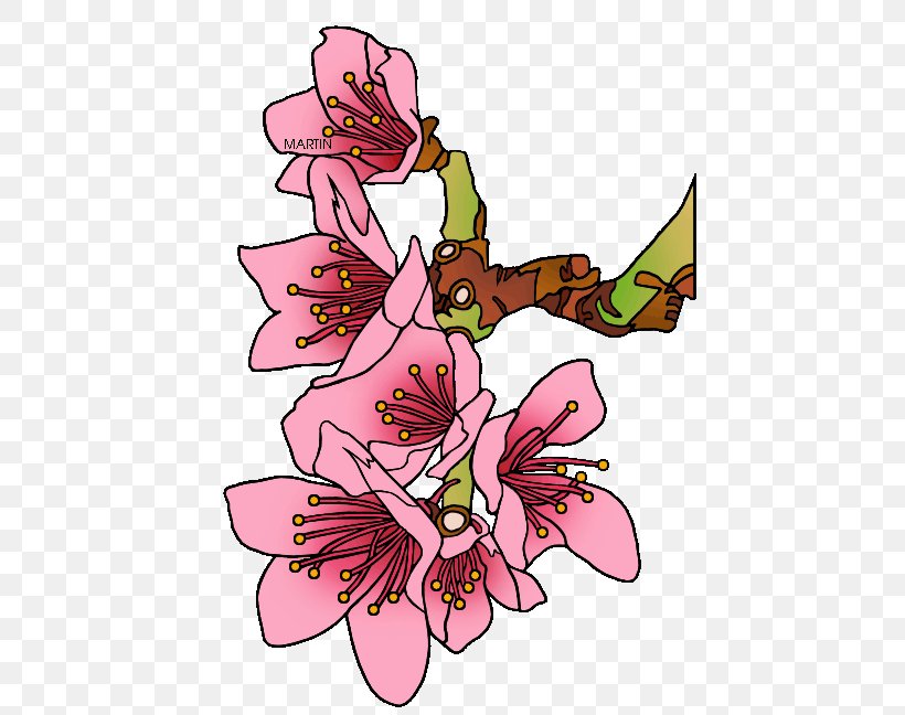 Floral Design Cherry Blossom Peach Clip Art, PNG, 460x648px, Floral Design, Art, Artwork, Blossom, Butterfly Download Free