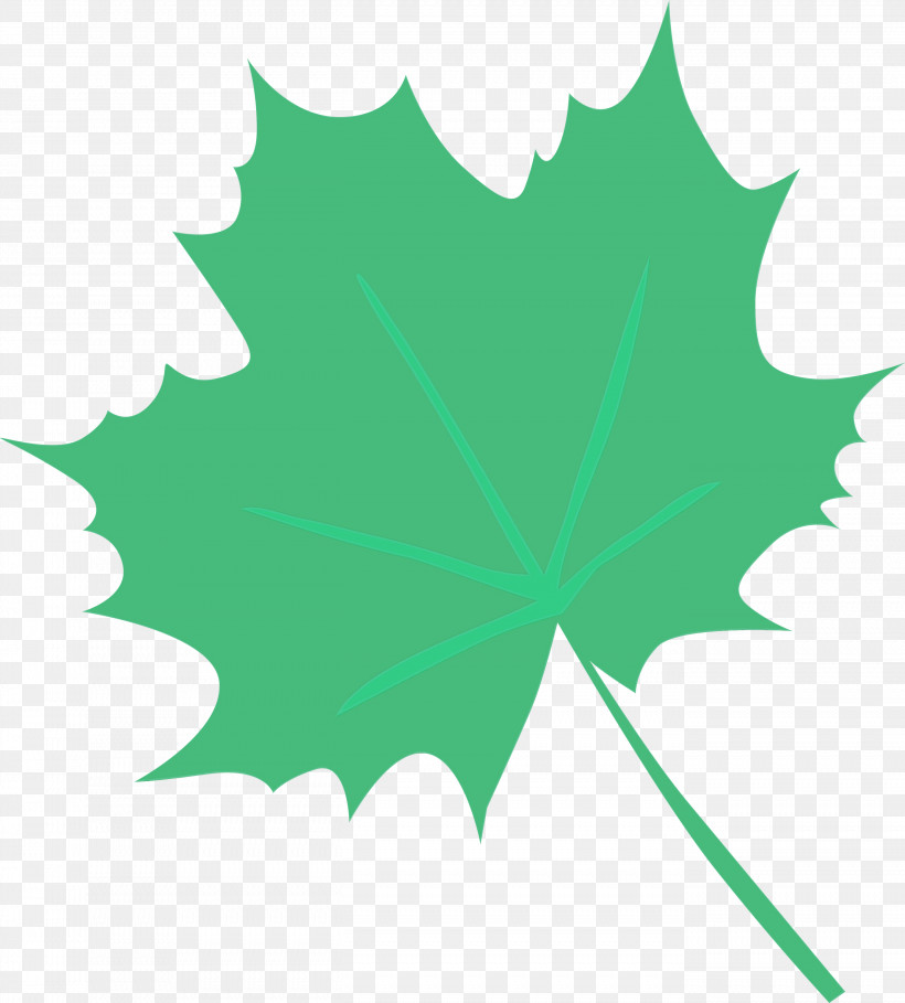 Maple Leaf, PNG, 2706x3000px, Watercolor, Cricut, Data, Internet, Maple Leaf Download Free