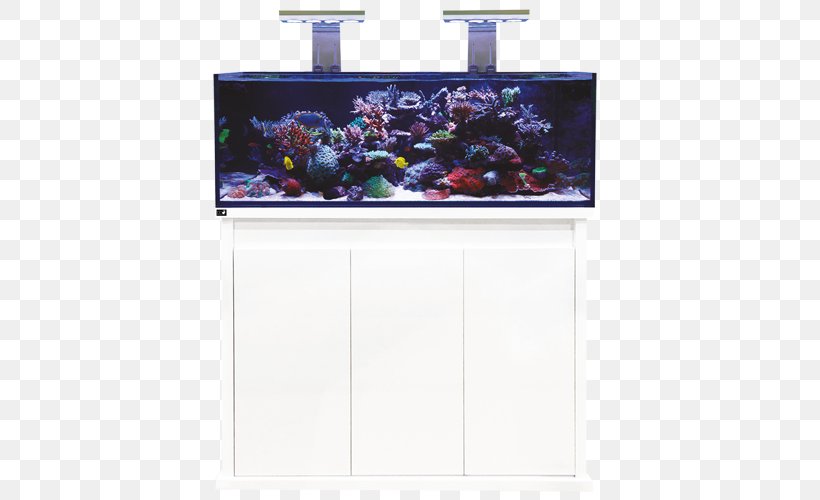 Reef Aquarium Koi Fishkeeping Nano Reef, PNG, 500x500px, Aquarium, Akwarystyka Morska, Aquascaping, Aquatic Plants, Display Device Download Free