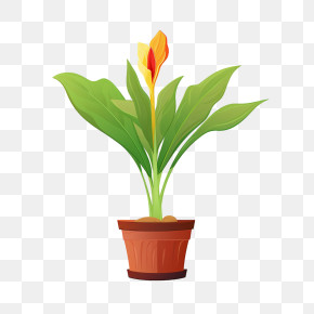 Canna Lilly Plant - Potted Plant With Vibrant Flowers PNG