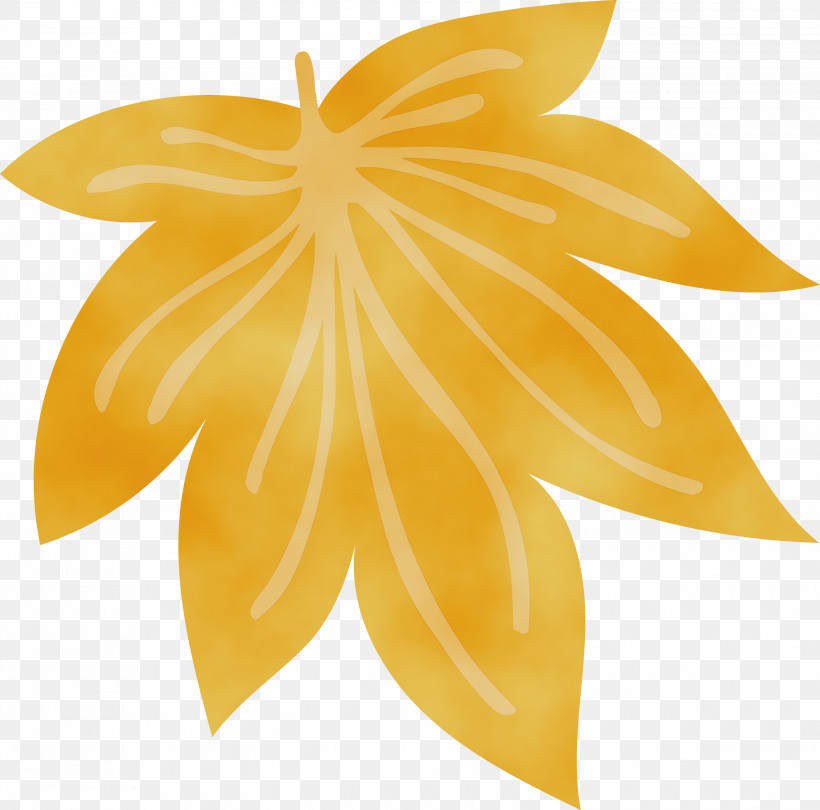 Carambola Leaf Yellow Symmetry Science, PNG, 3000x2966px, Watercolor, Biology, Carambola, Leaf, Paint Download Free