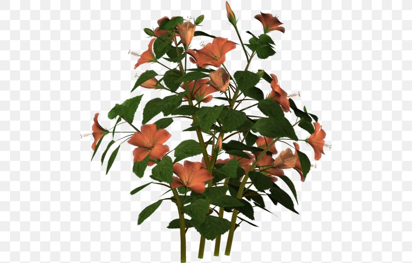 Cut Flowers Flowerpot Plant Stem Leaf, PNG, 500x523px, Cut Flowers, Branch, Branching, Flower, Flowering Plant Download Free