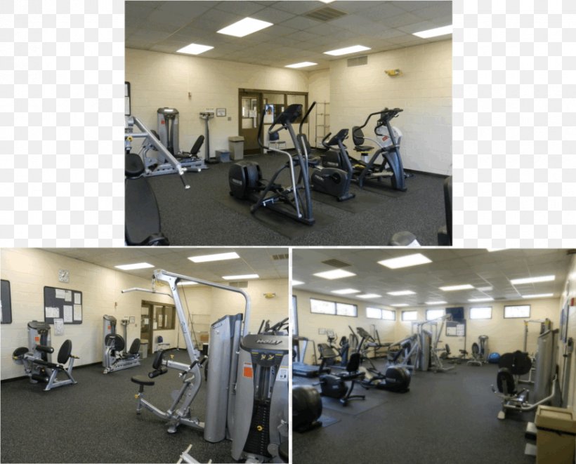 Fitness Centre Physical Fitness The Weight Room Exercise, PNG, 874x705px, Fitness Centre, Cardiovascular Disease, Exercise, Exercise Equipment, Exercise Machine Download Free