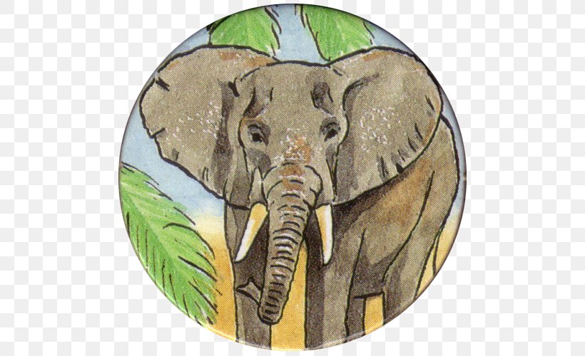 Indian Elephant African Elephant Wildlife Elephantidae, PNG, 500x500px, Indian Elephant, African Elephant, Animal, Elephant, Elephantidae Download Free