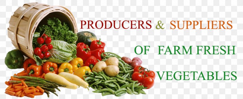 Shoreham Academy Food Nutrition Vegetable Vegetarian Cuisine, PNG, 950x390px, Shoreham Academy, Diet, Diet Food, Fish, Food Download Free